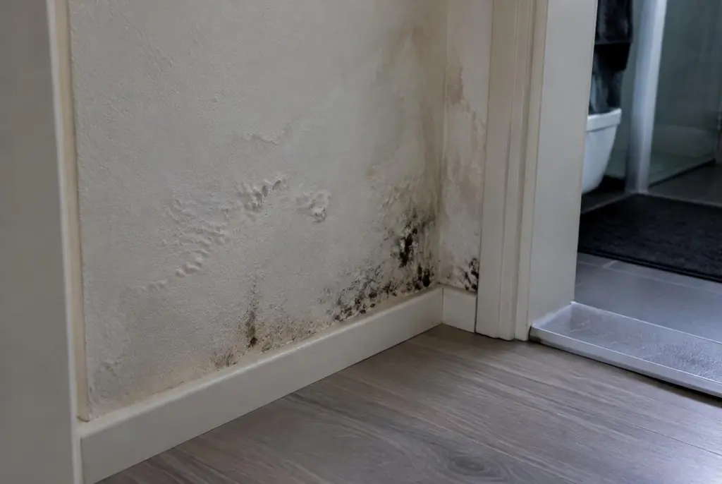 Lekdetectie Amersfoort – vochtplek met schimmel op een muur